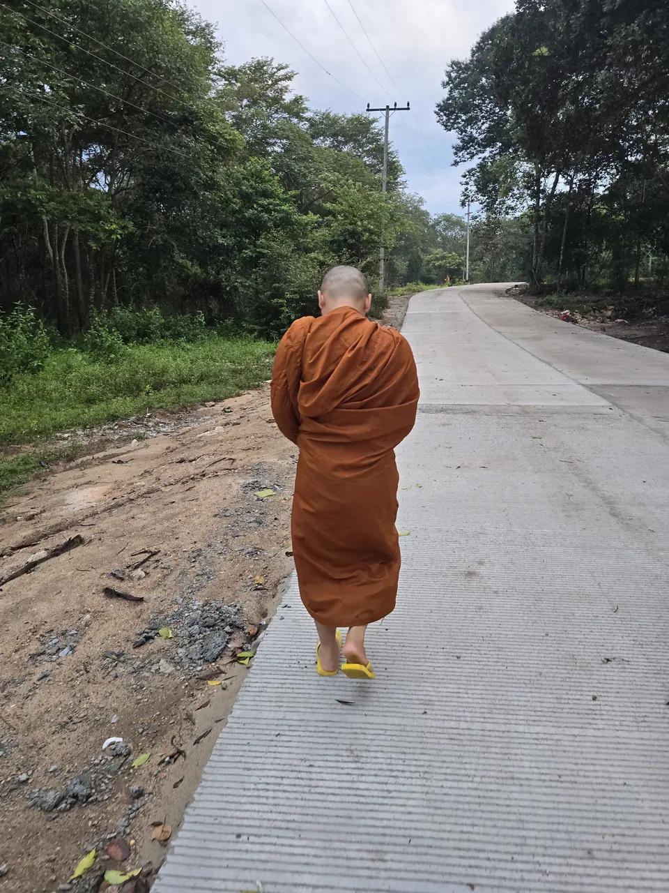 ພຣະພິກຂຸຍ່າງກັບວັດທ່າມກາງເສັ້ນທາງປ່າ