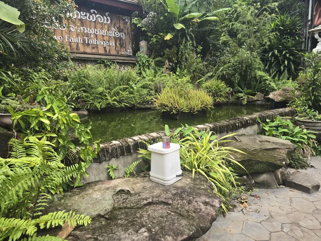 ພື້ນທີ່ສີຂຽວ ແລະ ໜອງນ້ຳພາຍໃນວັດ