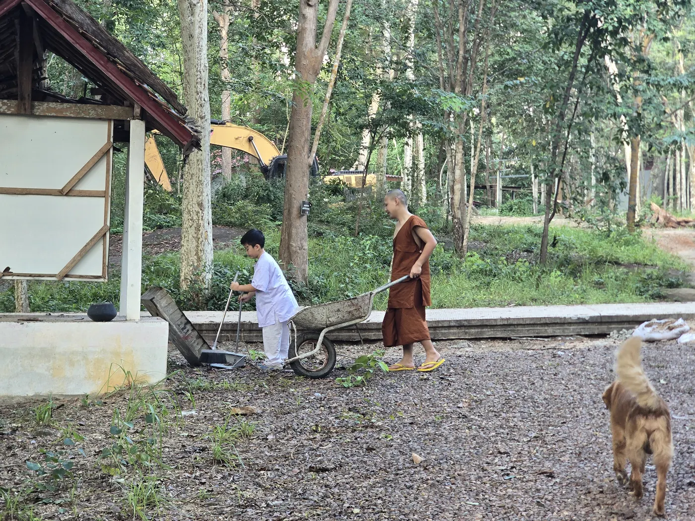 ສາມະເນນເຂັນລໍ້ ແລະ ເດັກນ້ອຍປັດກວາດ ຊ່ວຍກັນເຮັດວຽກພາຍໃນວັດ